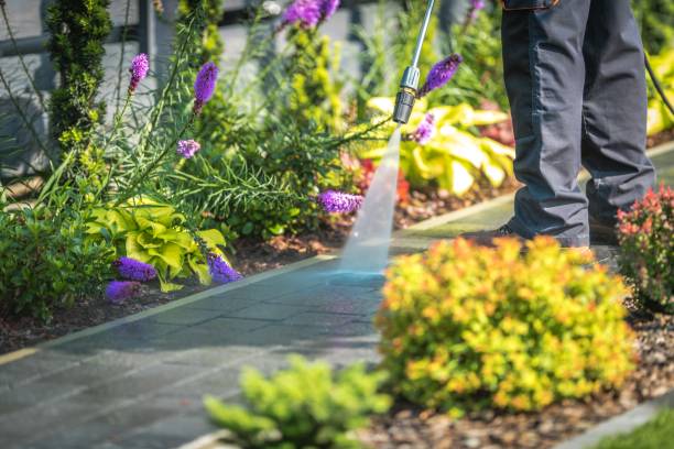 Best Dumpster Area Cleaning  in Silver Springs Shores, FL